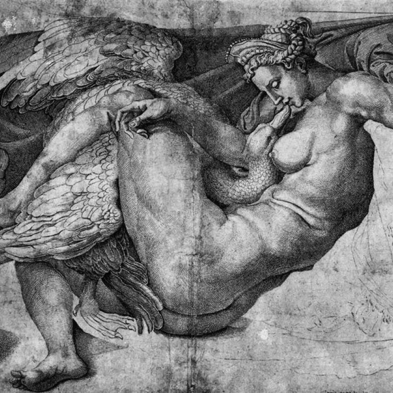 Earlier Works - leda and the swan