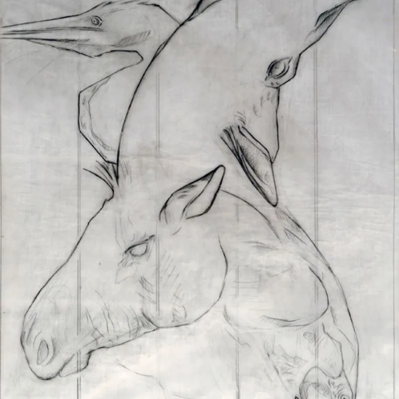 Elgin Marbles - iris bozzetto
