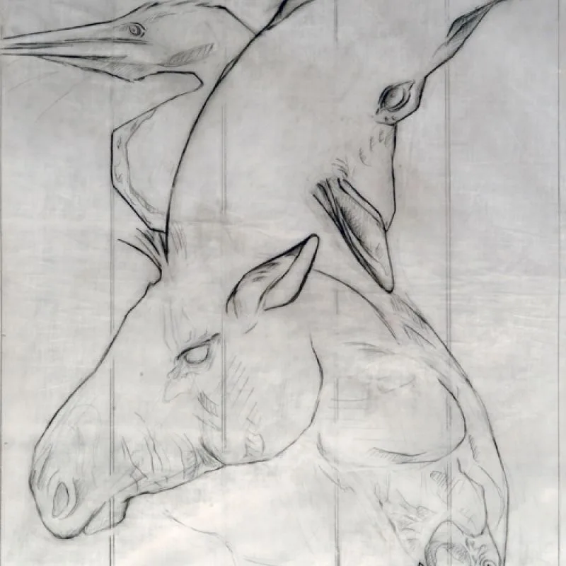 Elgin Marbles - iris bozzetto